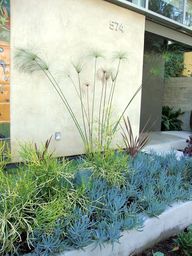 Blue chalk sticks (S