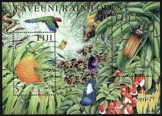 Taveuni Rainforest :