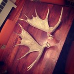 That one thing I always wanted: a set of moose antlers. Done. cc @abchao