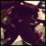 Puppy pile.