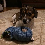 A day of daycare of not enough. Must. Play. Now.