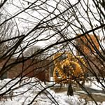 Shiny new things at the Gardner today.