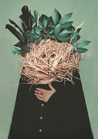 Fedor Velyaminov, Pa