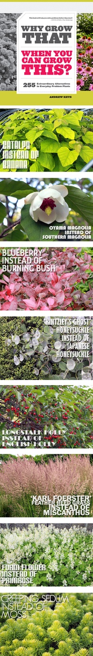 Why Grow That When Y